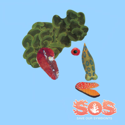 Marcelo, The Mediterranean Thumbnail